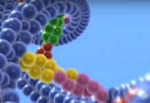 dna.jpg