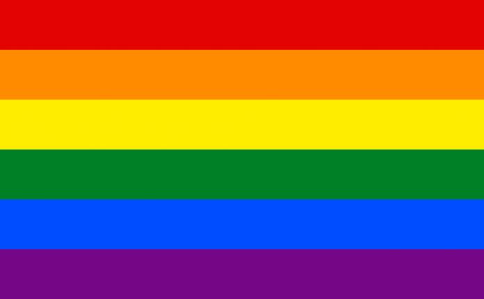 Gay_flag.svg_.png