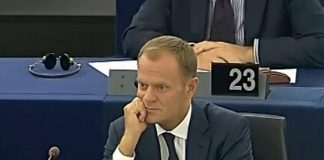 tusk5.jpg