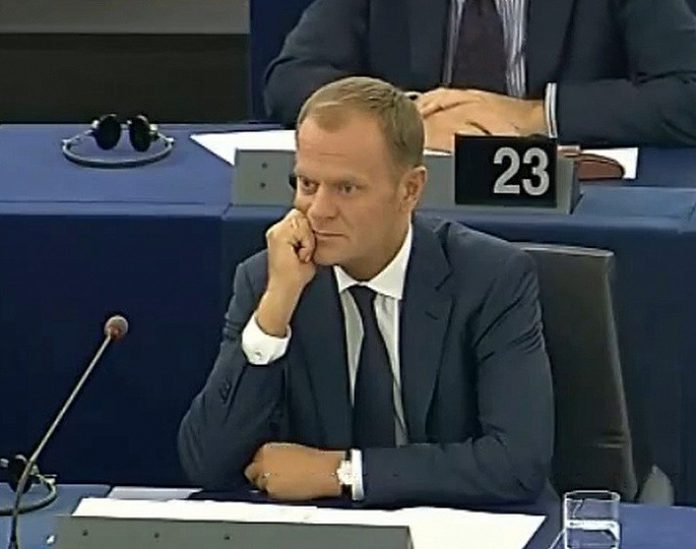 tusk5.jpg tusk5.jpg