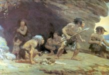 Zaskakujące informacje na temat pochodzenia homo sapiens
