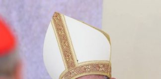franciszek23.jpg