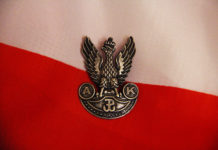 Program obchodów Narodowego Święta Niepodległości