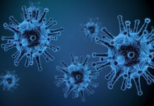 Co wspólnego ma koronawirus z wirusem HIV