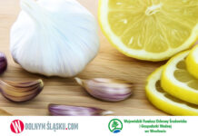 Naturalne antybiotyki