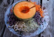 Dieta dobra dla zdrowia i planety – jak ją ugryźć?