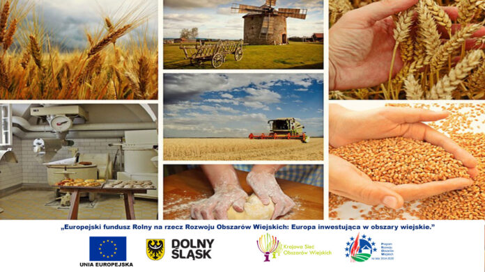 Powiązanie rozwoju agroturystyki z produktami lokalnymi