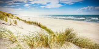 Mrzeżyno noclegi – widok na wydmy, plażę i morze w Mrzeżynie